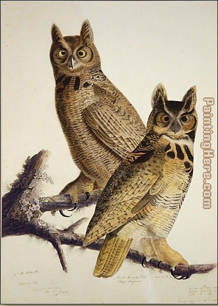 John James Audubon Great Horned Owl